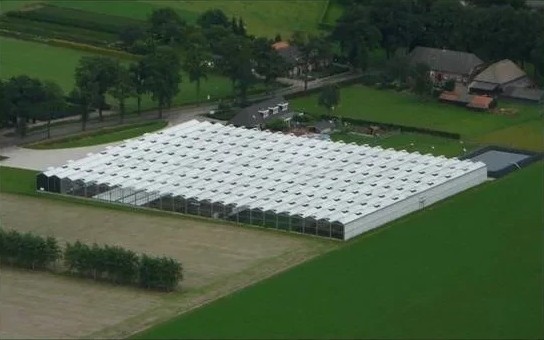 Luchtfoto van de kassen van Kwekerij van de Ven tussen de weilanden